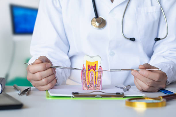 Best After-Hours Dental Trauma Care in Rosenberg, TX